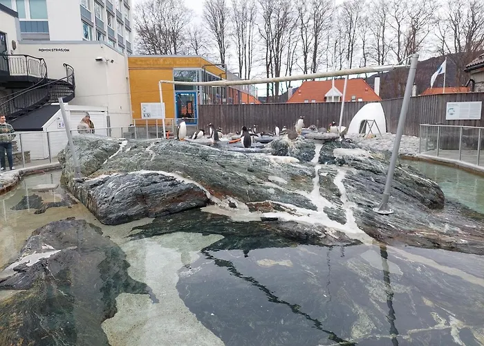 Lejlighed Center Bergen