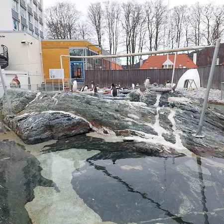 아파트 Center 베르겐